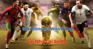 Giới thiệu world cup