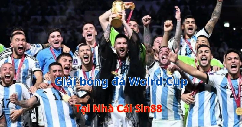 Những danh hiệu tại World Cup