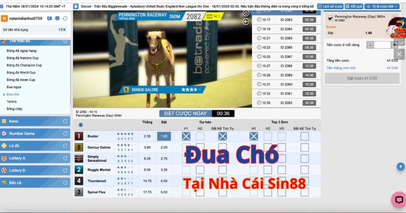 Tạo vé cược đua chó Sin88